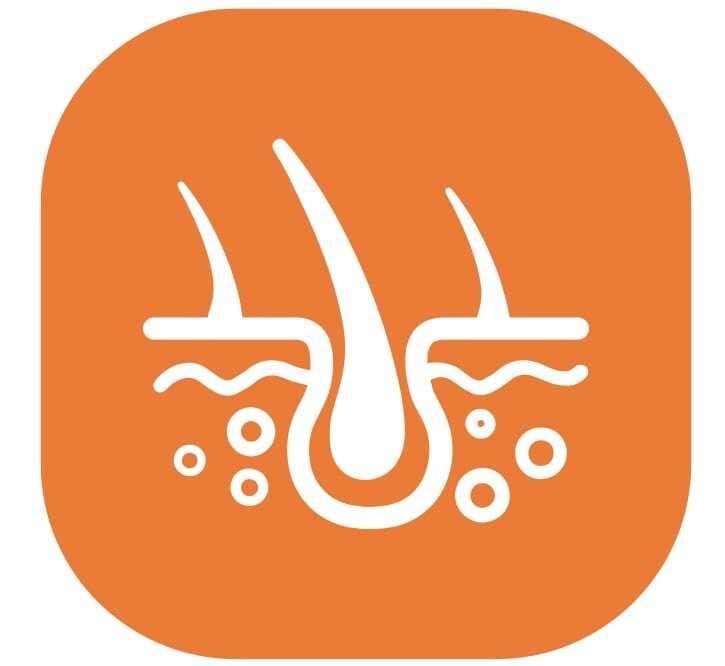 default-logo